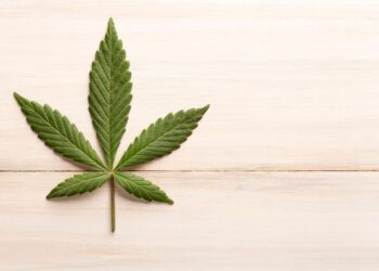 Gesundheitsbewusstes Rauchen: Die Rolle von Aktivkohlefiltern im Joint