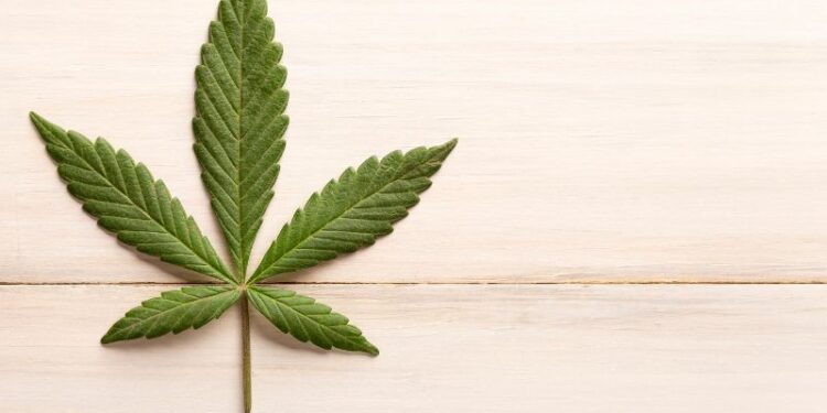 Gesundheitsbewusstes Rauchen: Die Rolle von Aktivkohlefiltern im Joint