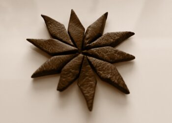 Salmiakpastillen Eine Geschmacksreise in die Welt des Lakritz