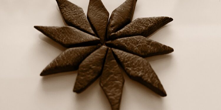 Salmiakpastillen Eine Geschmacksreise in die Welt des Lakritz